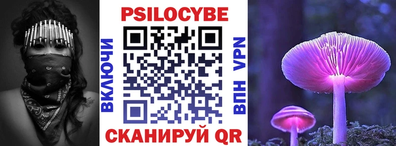 Псилоцибиновые грибы GOLDEN TEACHER  цены   ОМГ ОМГ вход  Карачев 